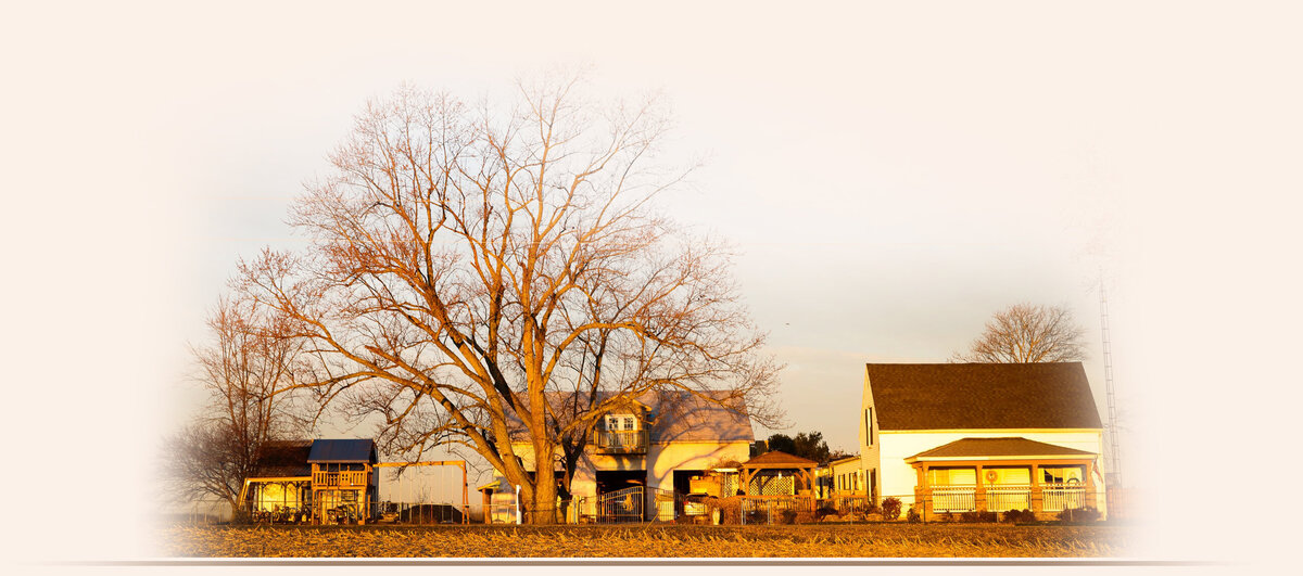 Home of Belmark Shelties