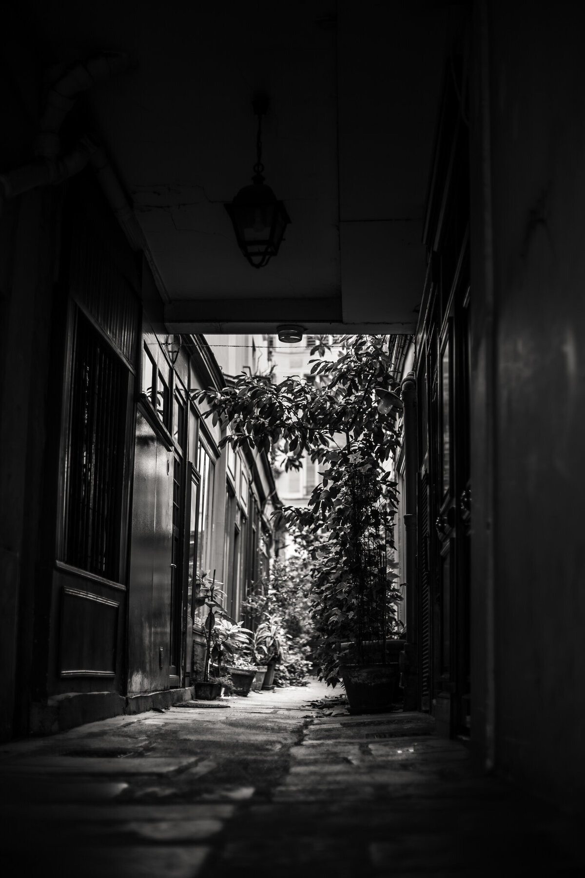 fine_art_photographer _148