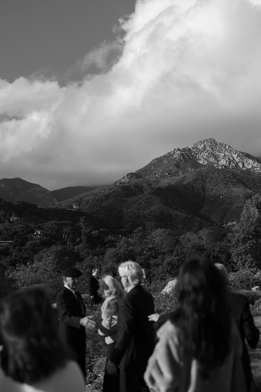 Santa Barbara Botanical Gardens Wedding - 12