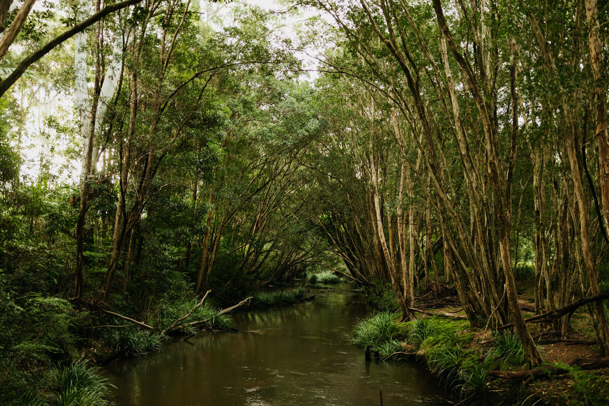 Ebony&Cameron-JBCreative-482