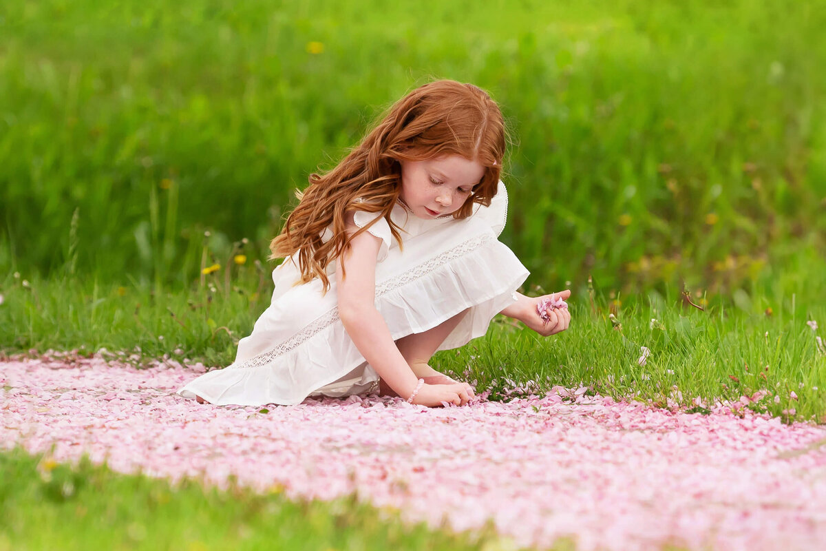 red haired girl squatting down picking up pink petals for her Spring Blossom family photography session in Burlington, Ontario