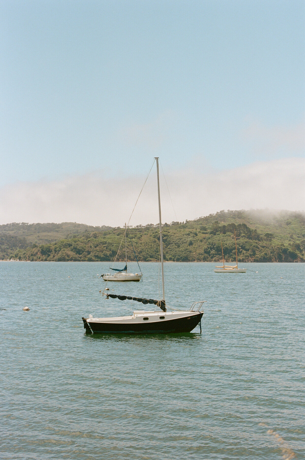 Kelly+Joel-Point-Reyes-Wedding-294
