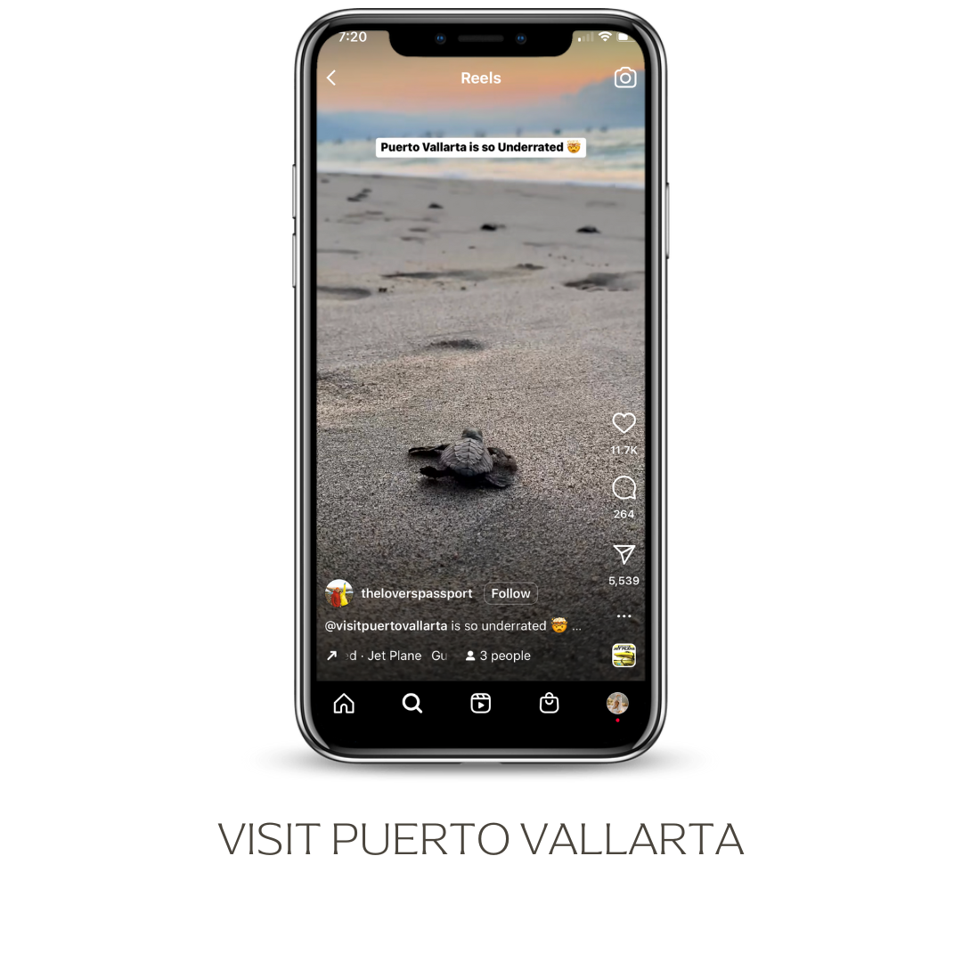 visit puerto vallarta