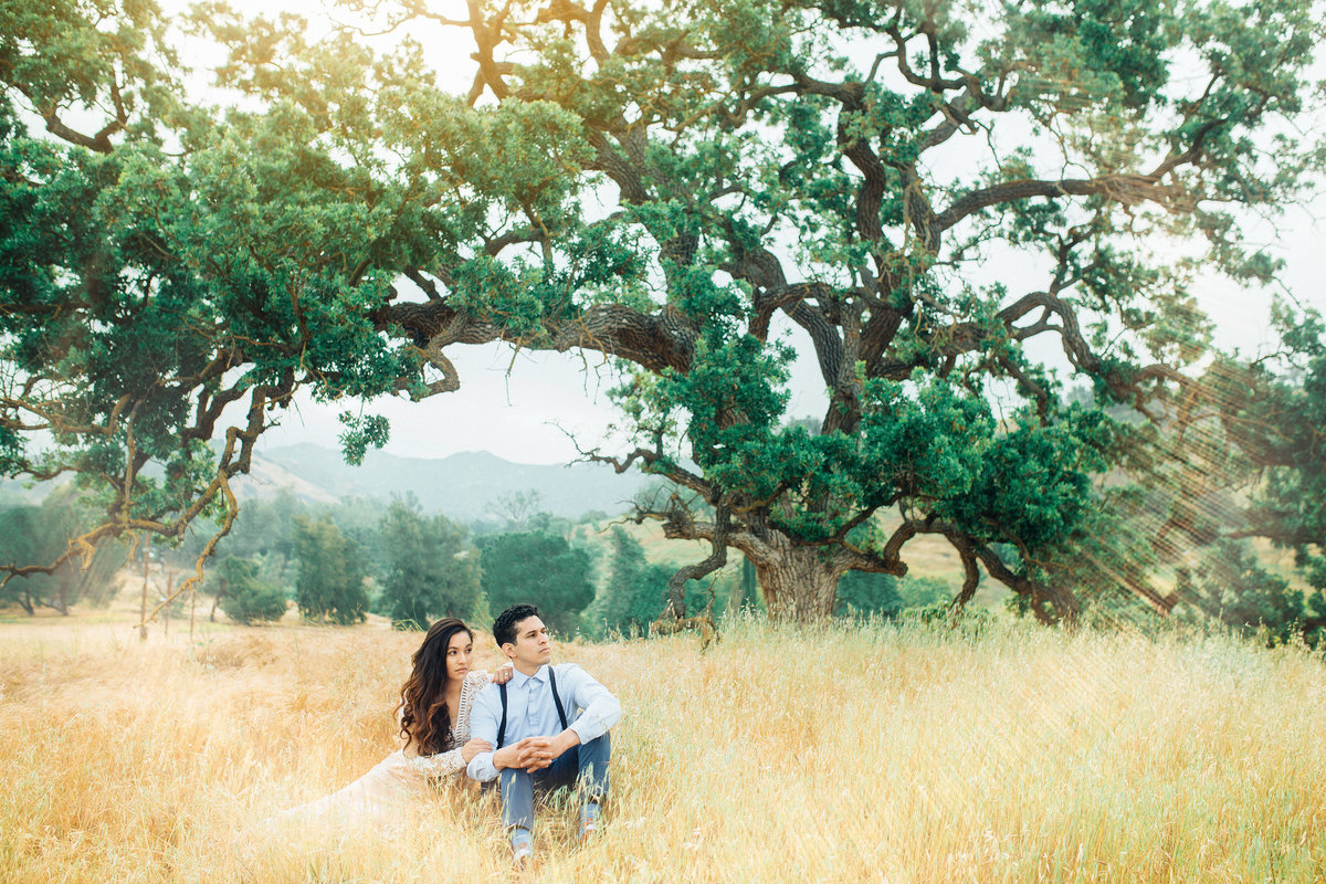 Engagement Photograph Of  Man And Woman Seated In The Meadow Los Angeles