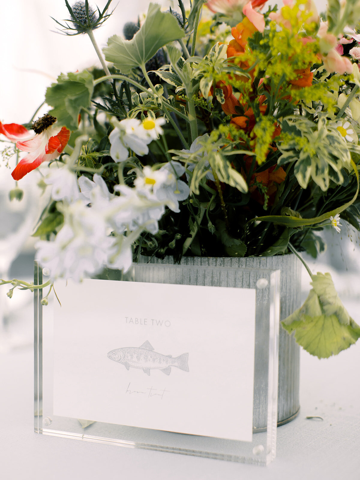 Callie x Eric. Schmid Ranch Wedding by Alp & Isle. Reception-77