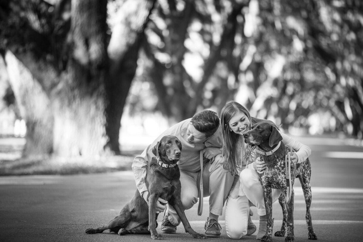enaged couple with dogs