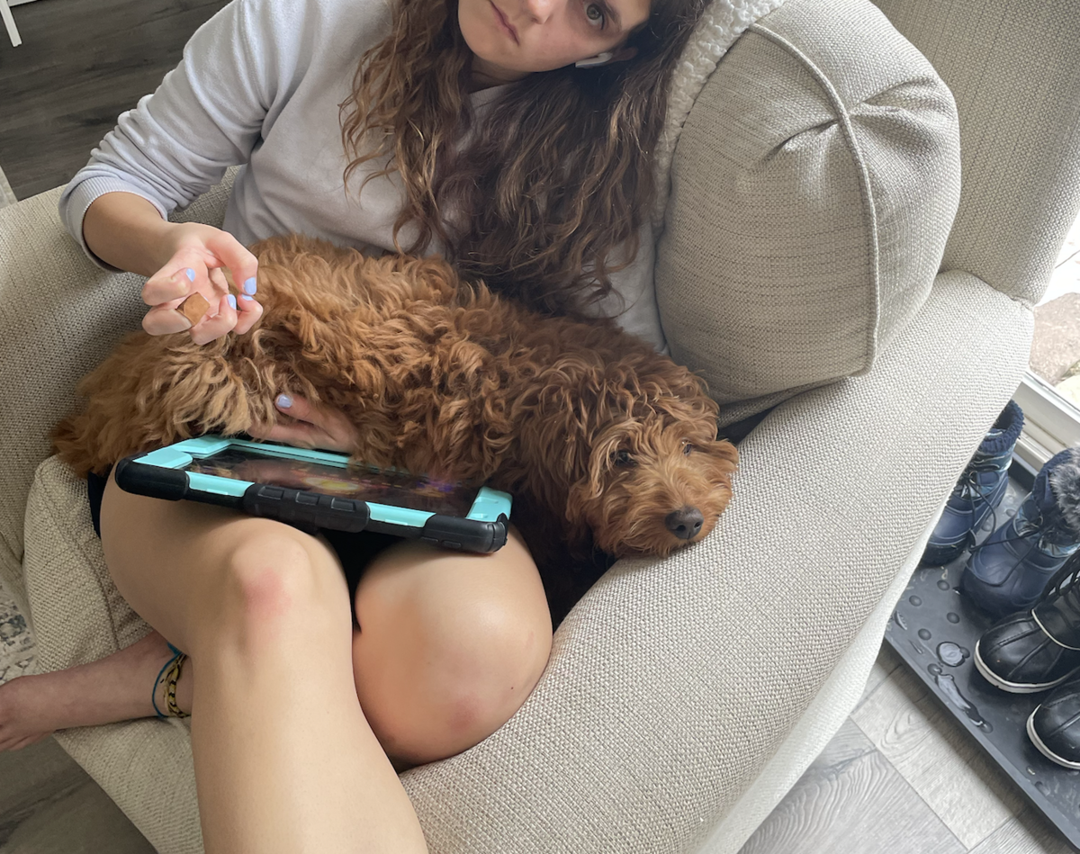 Screenshot 2024-08-29 at 1.05.27 PM