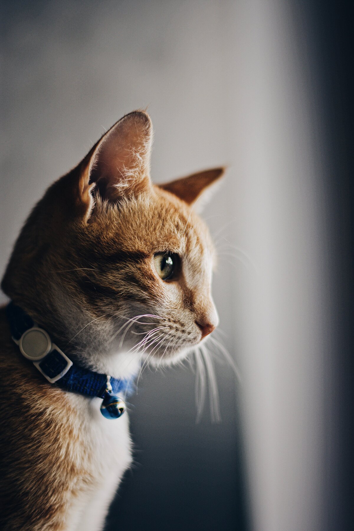 alex-nicolopoulos-hxn2HjZHyQE-unsplash