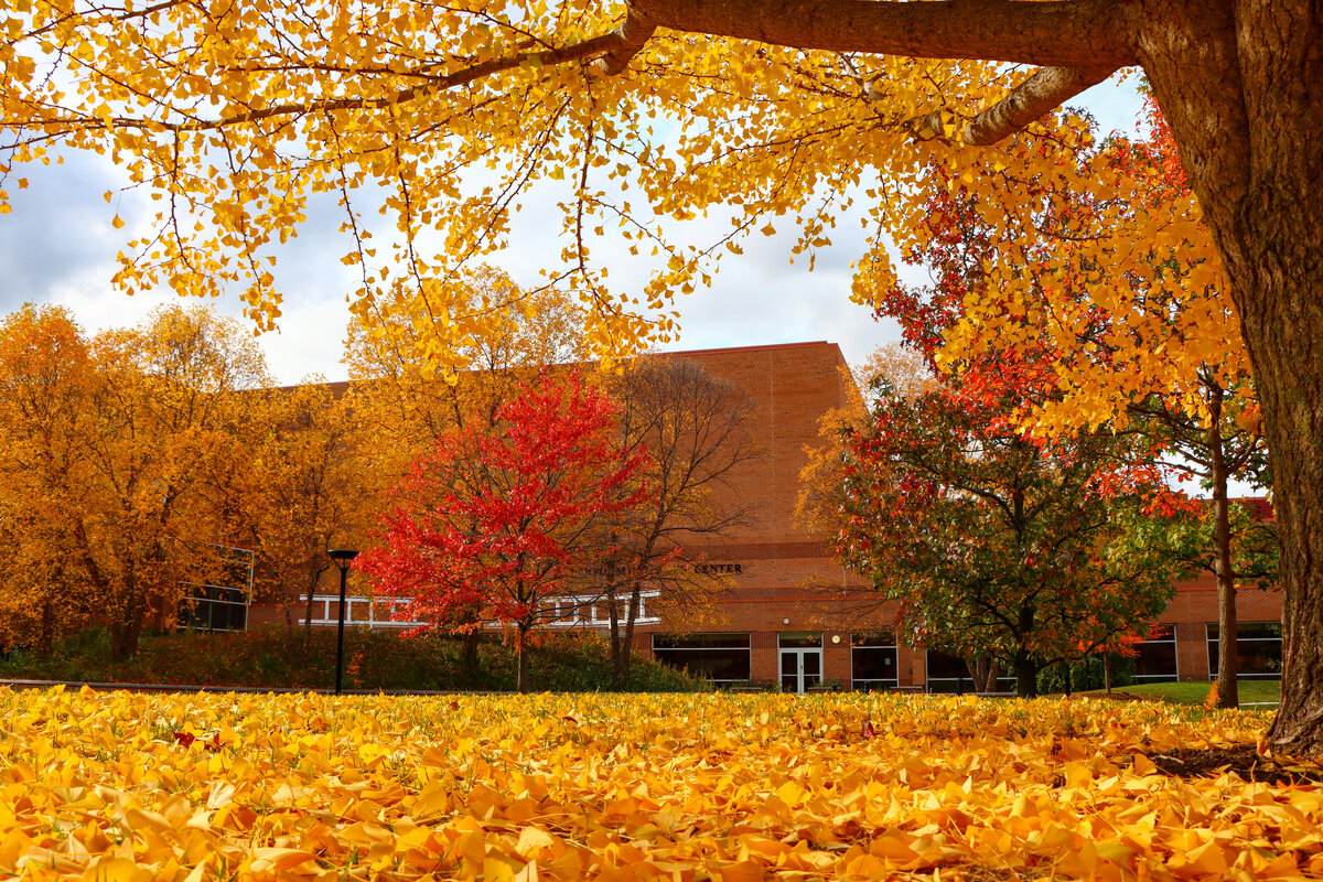 102520 Fall colors on campus facing the outdoor performing arts center