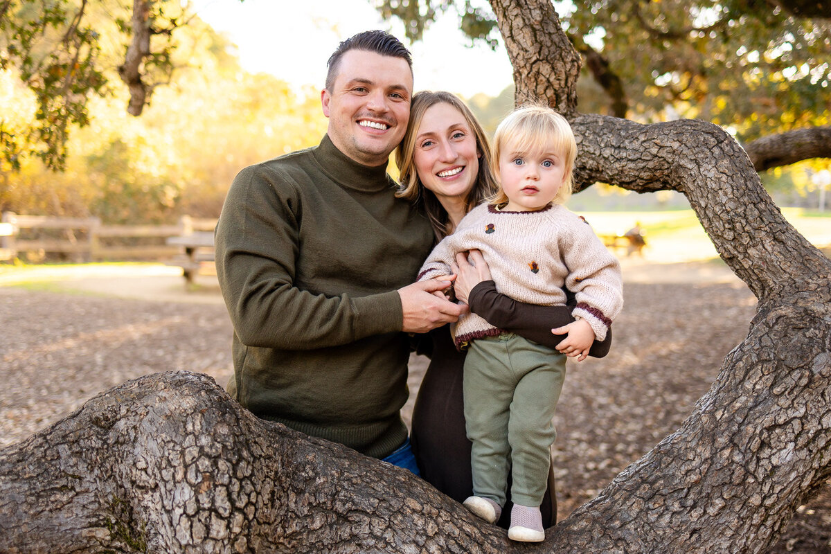 Parents and toddler smiling together on an oak tree at Laurelwood Park San Mateo for the Bay Area Family Portfolio, Ellobelle Photography