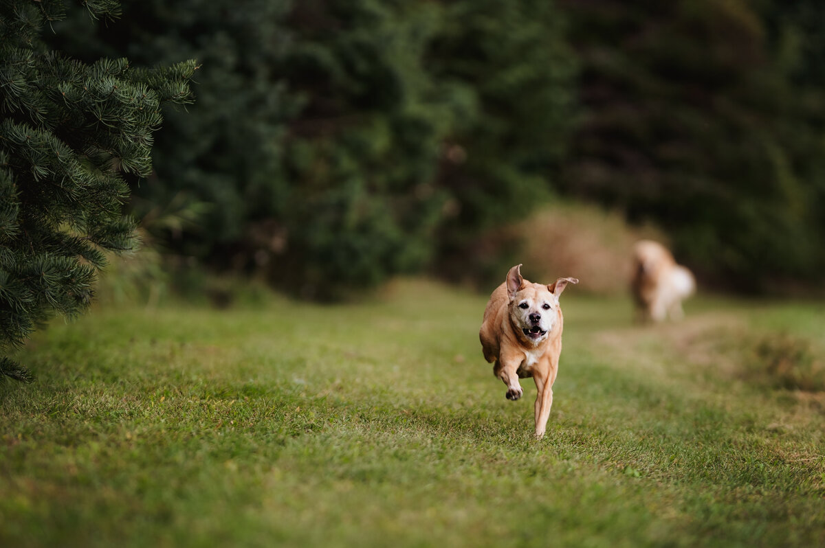 OliviaB_Fall2025_045