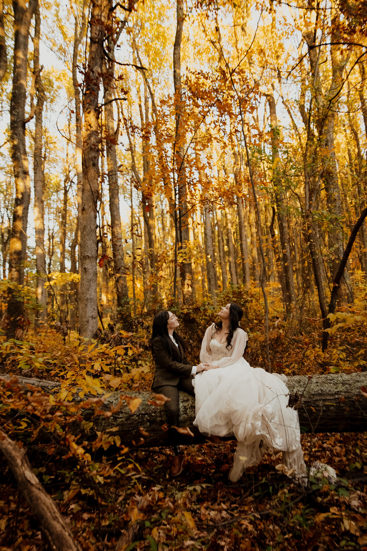 NIKONCORPORATIONNIKONZ6_25196x3462_009967