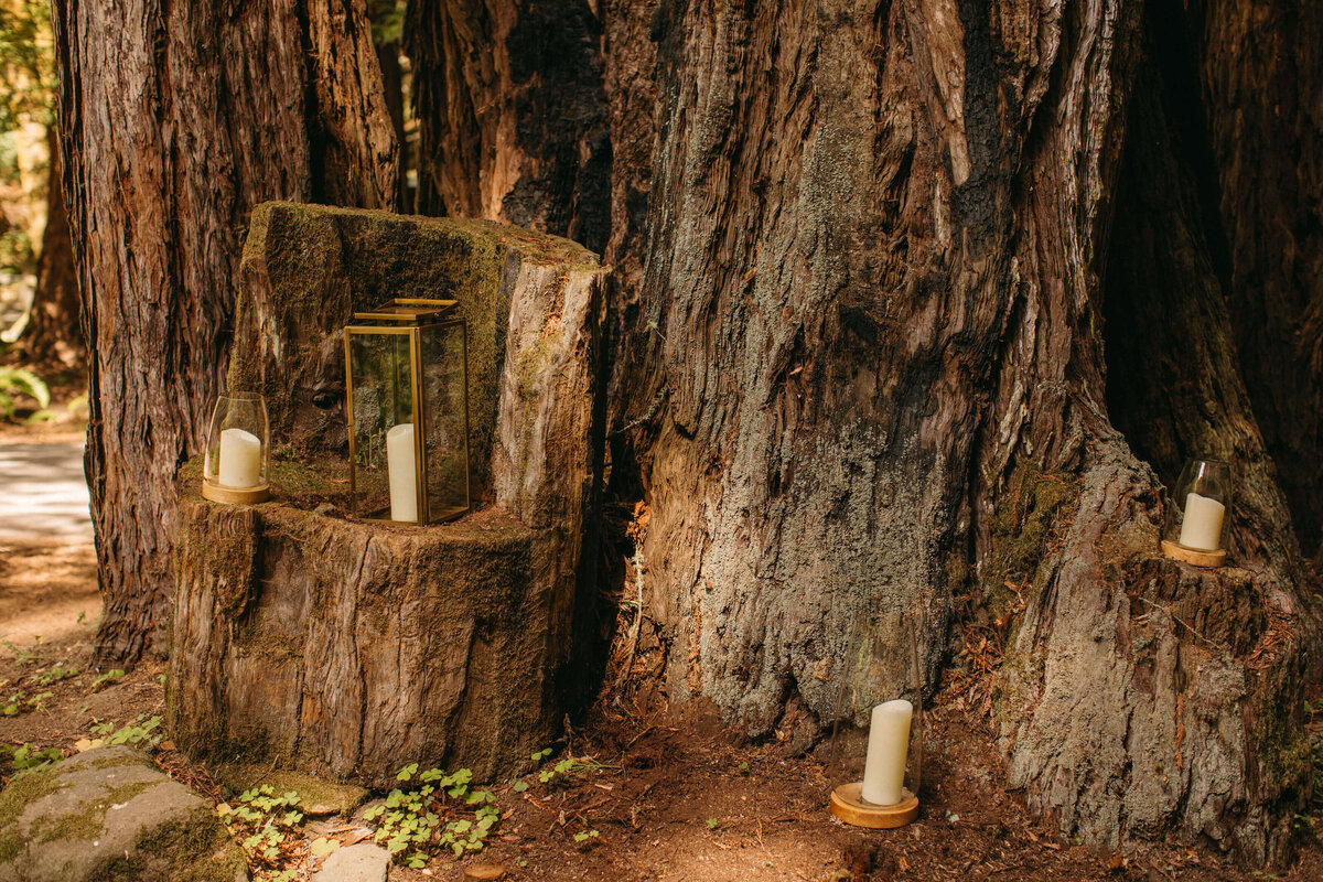 wedding forest candles moody