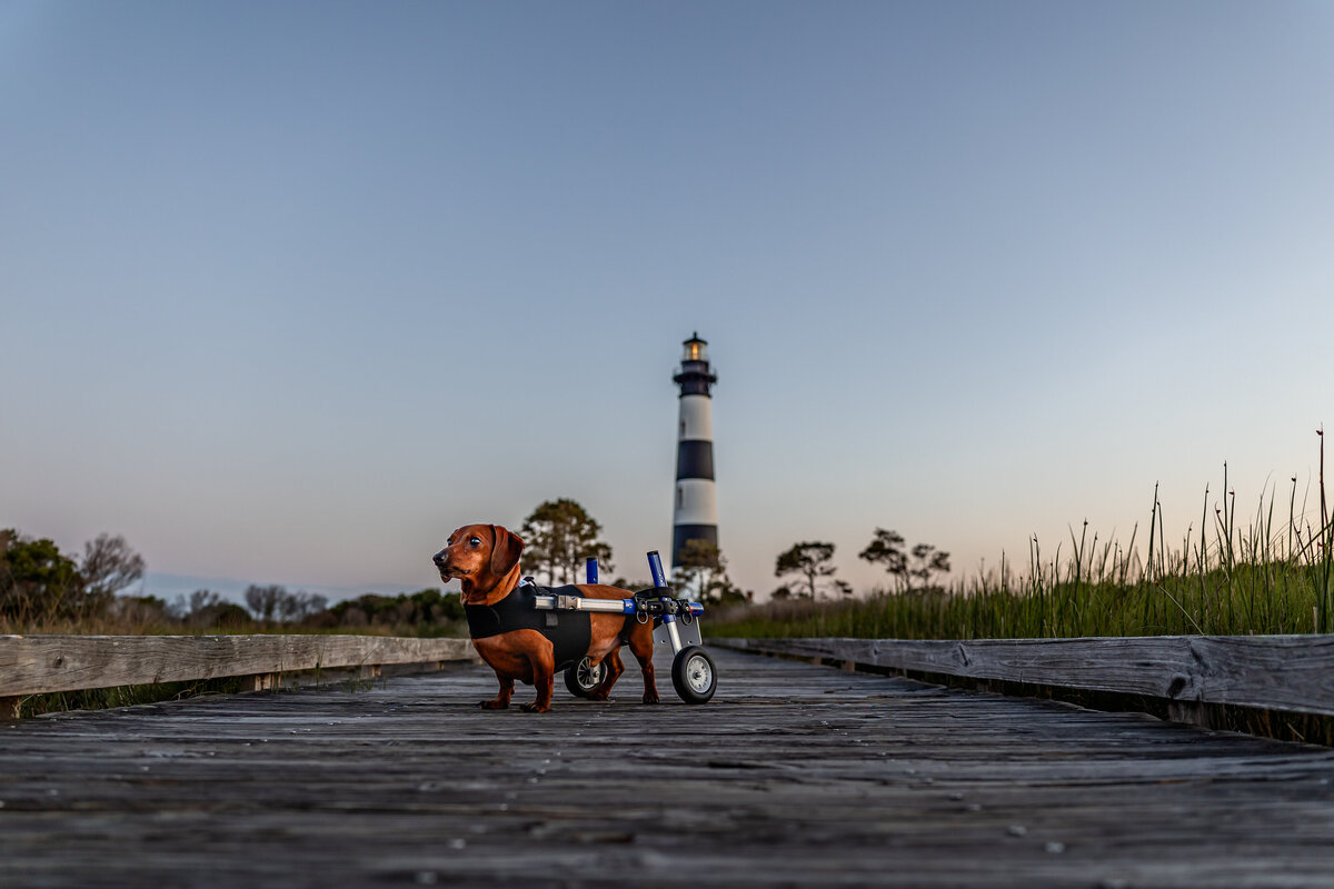 1C2A7654-Edit