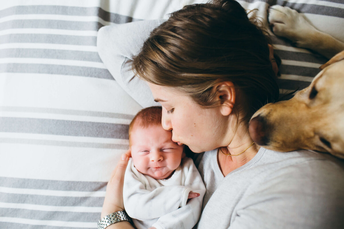 Carisle Newborn Photographer