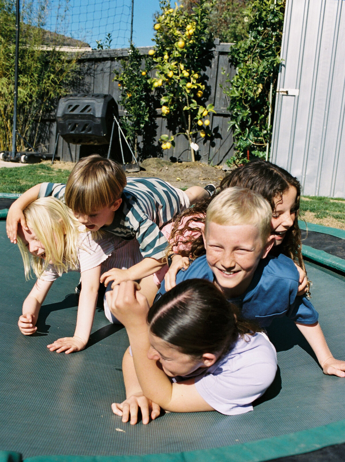 torquay-family-photographer-in-home-session-on-35mm-film-bobby-dazzler-photography-31