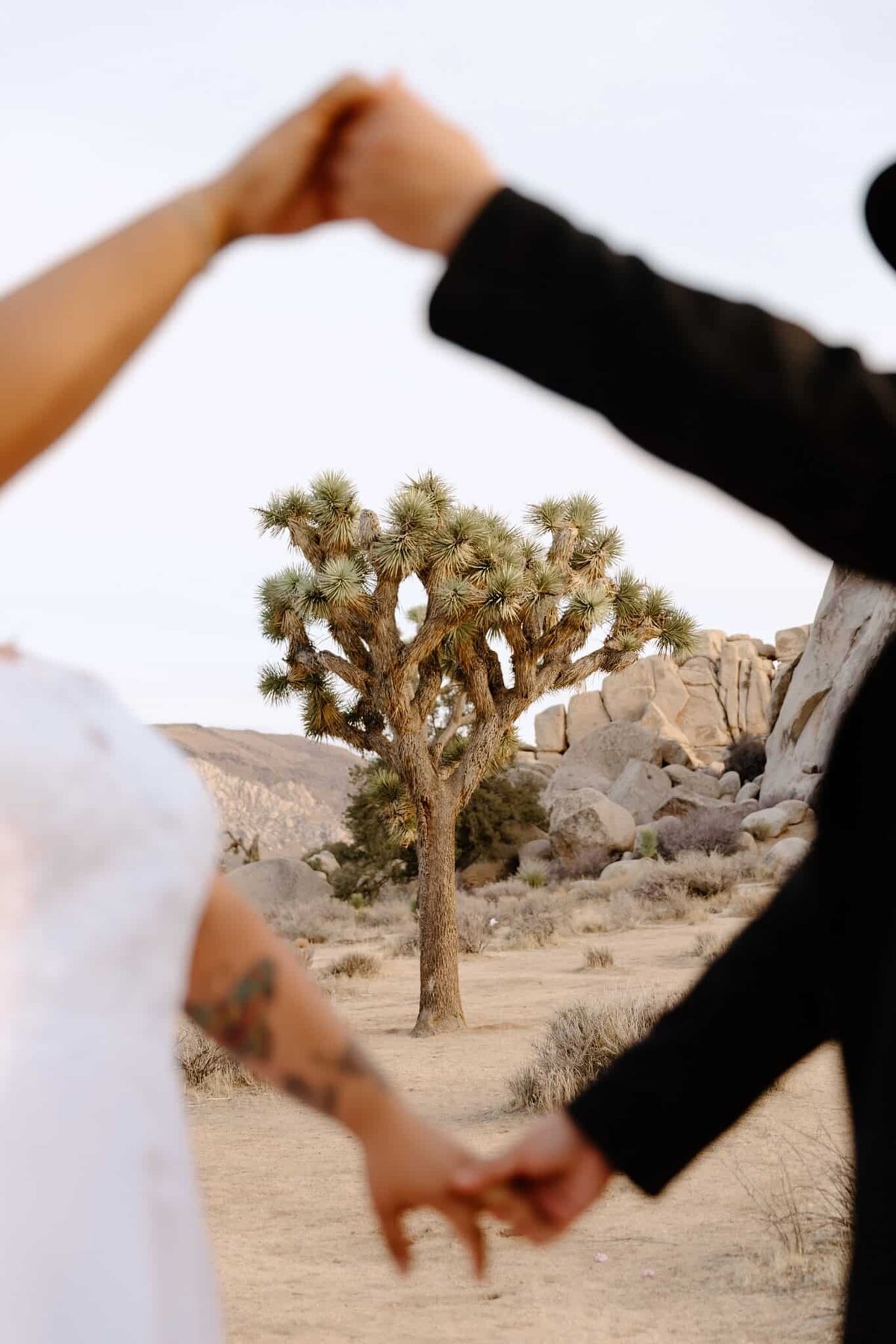 joshua-tree-elopement-photos-lqbtq-2