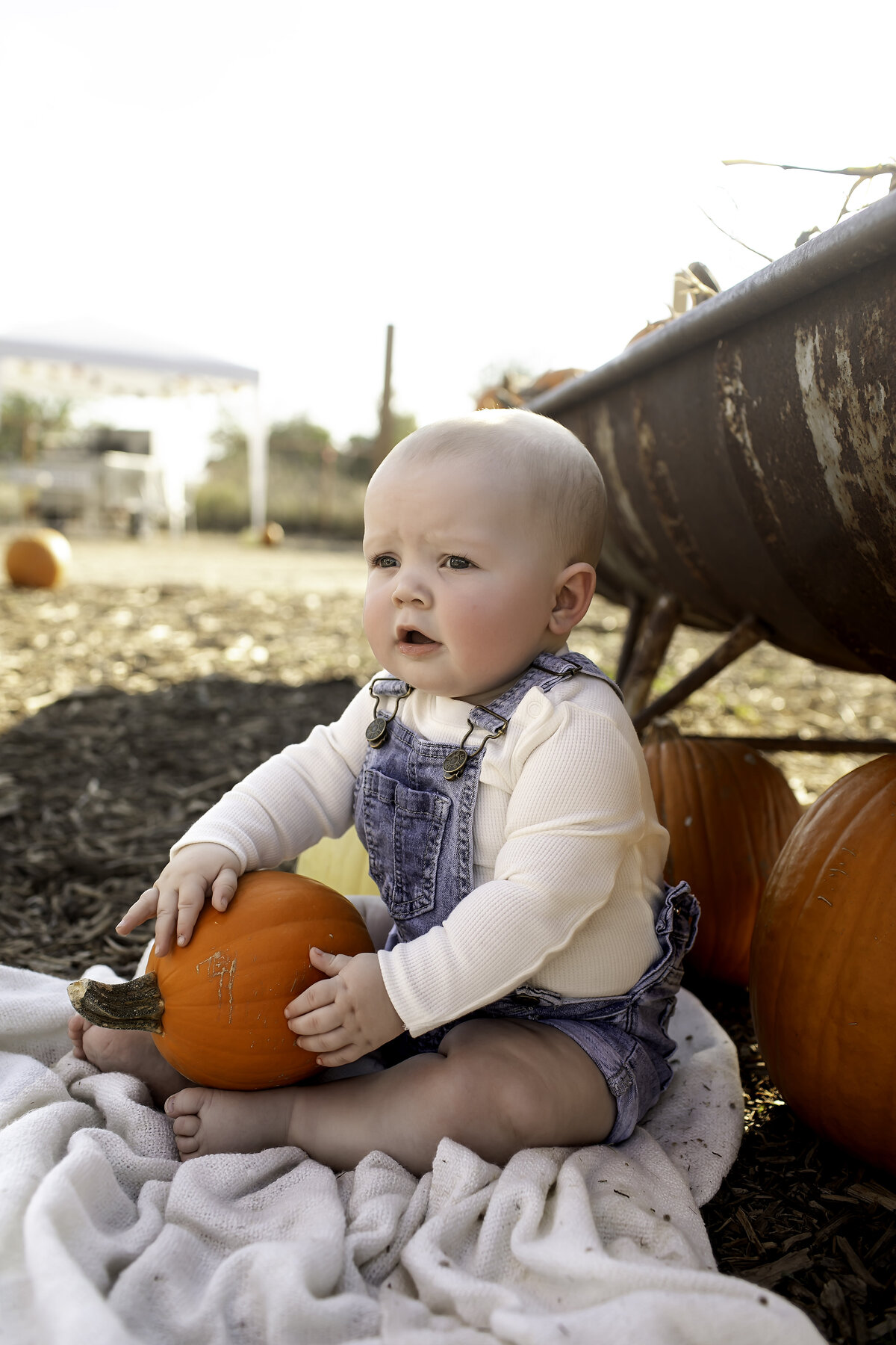 Fort Worth Child Photographer-1V5A4181-Edit