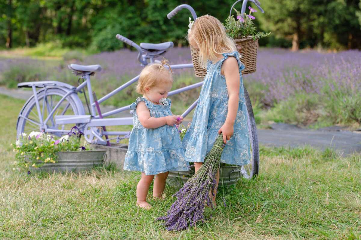 NJ slavender field photoshoot pleasant valley lavender farm-396