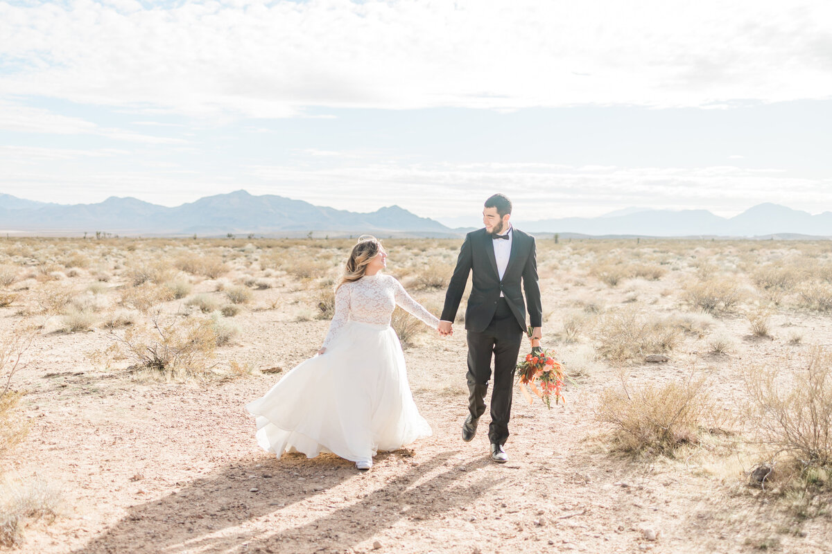 Desert-Las-Vegas-Nevada-Wedding-Photo-Willow-And-Rove
