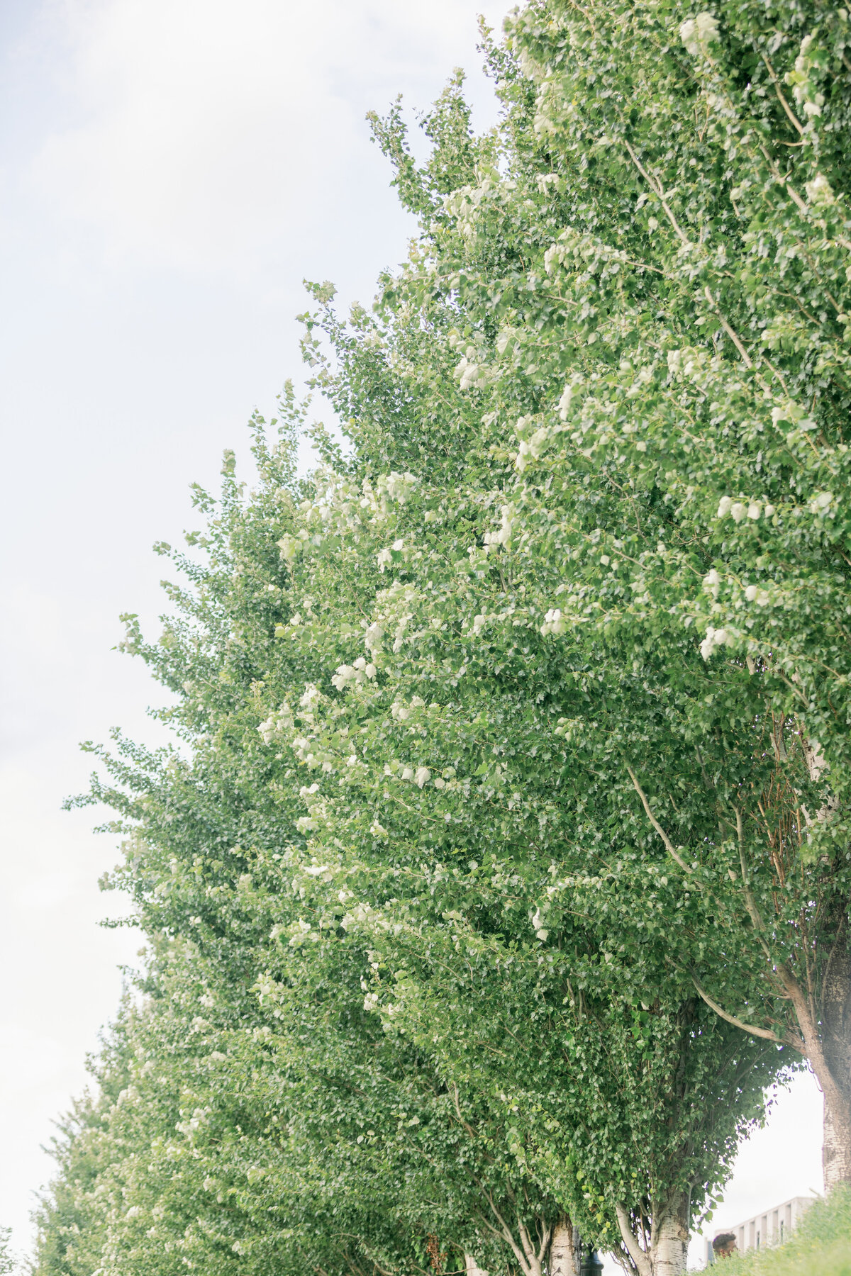 Luxury Moment Photography-2659