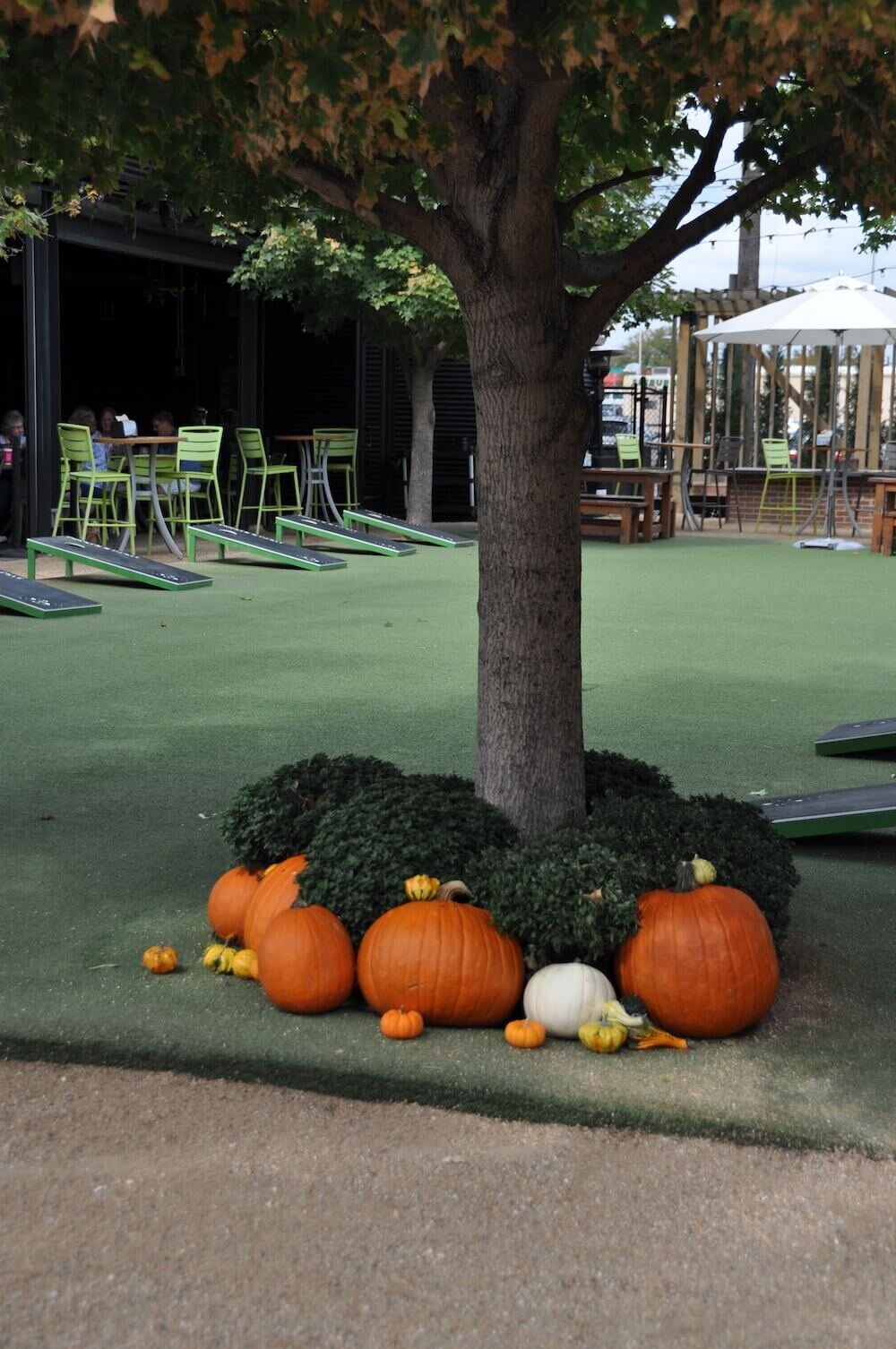 Commercial landscape company project in Kansas City: seasonal flowers showcase