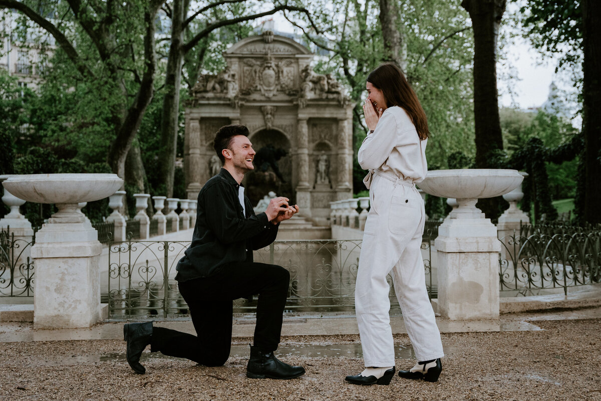 paris proposal medici fountain