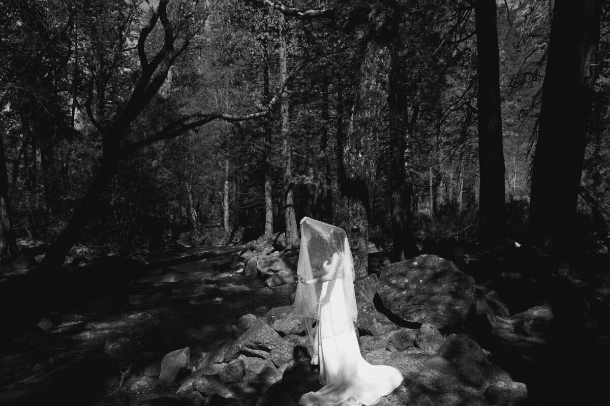 Yosemite Elopement-45