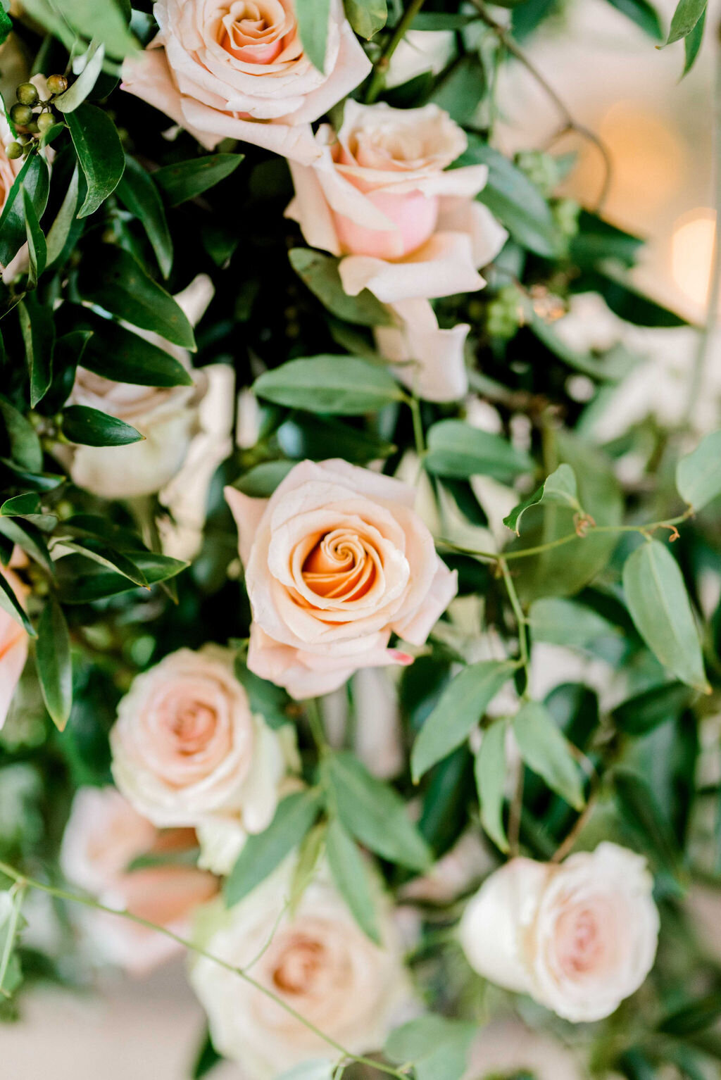 Weddingupload-579