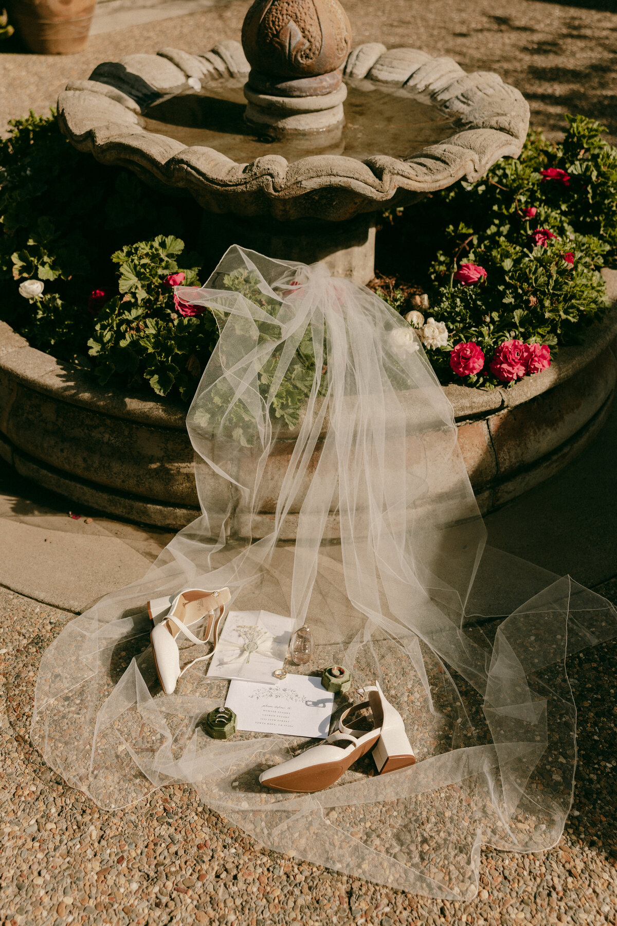 AllisonQuistPhoto-6468