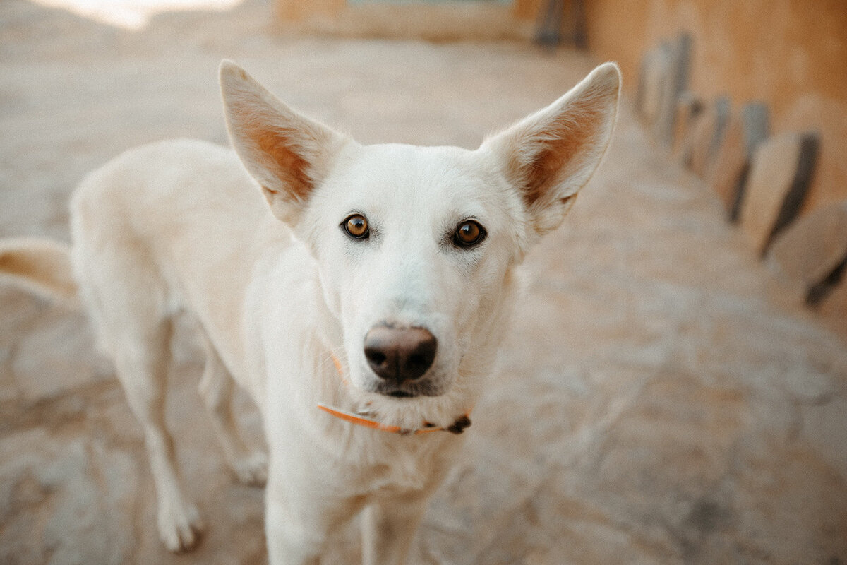 Morocco-dallinhassard-0135
