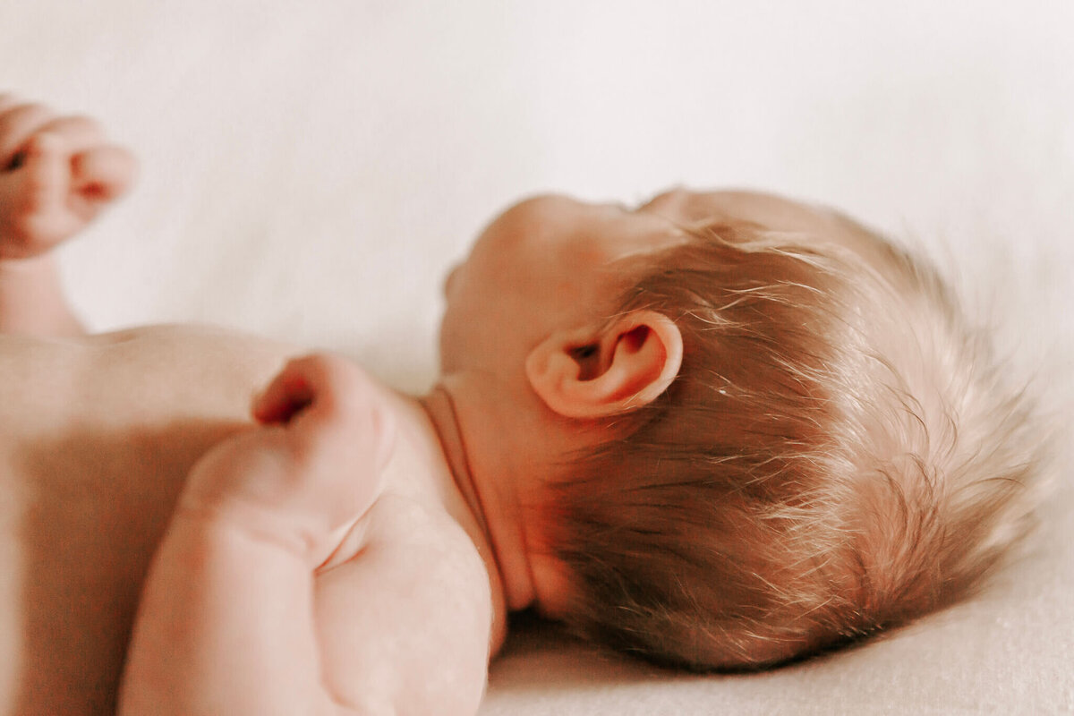 Albany-Newborn-Photographer-837