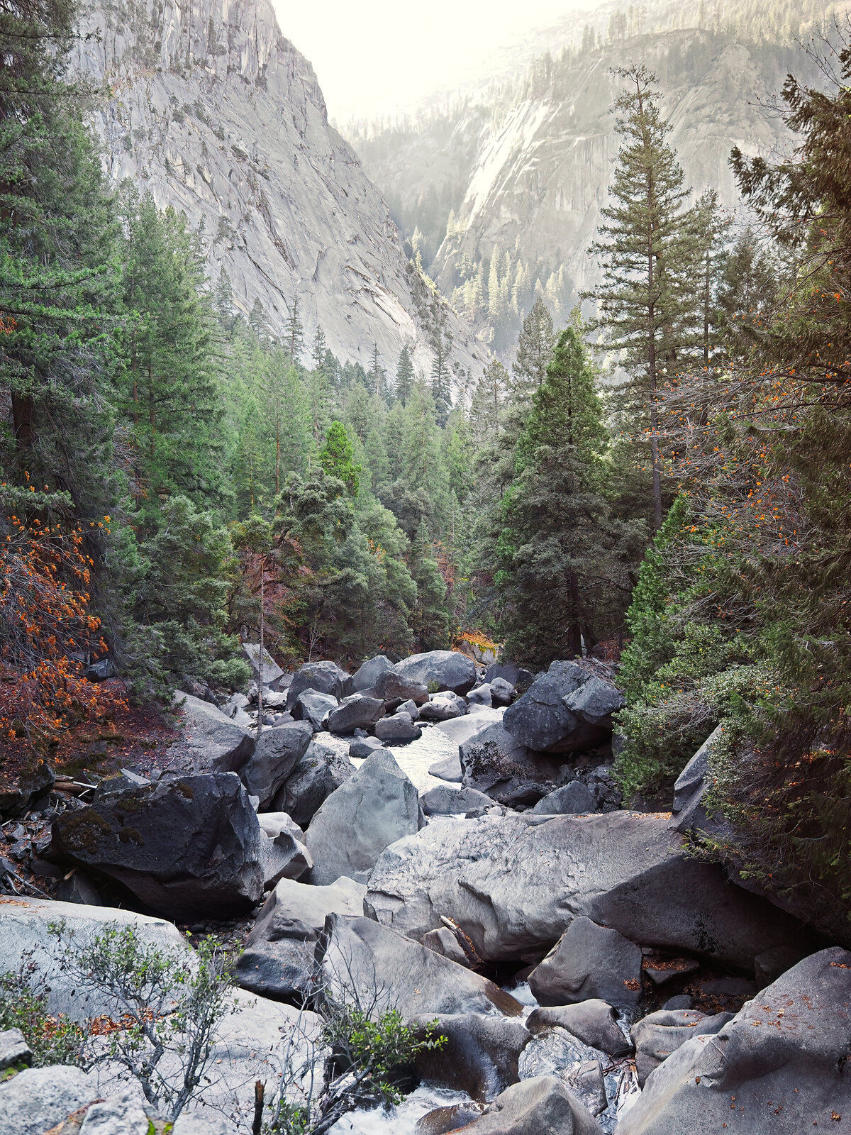 YosemiteView-DeNoiseAI-low-light