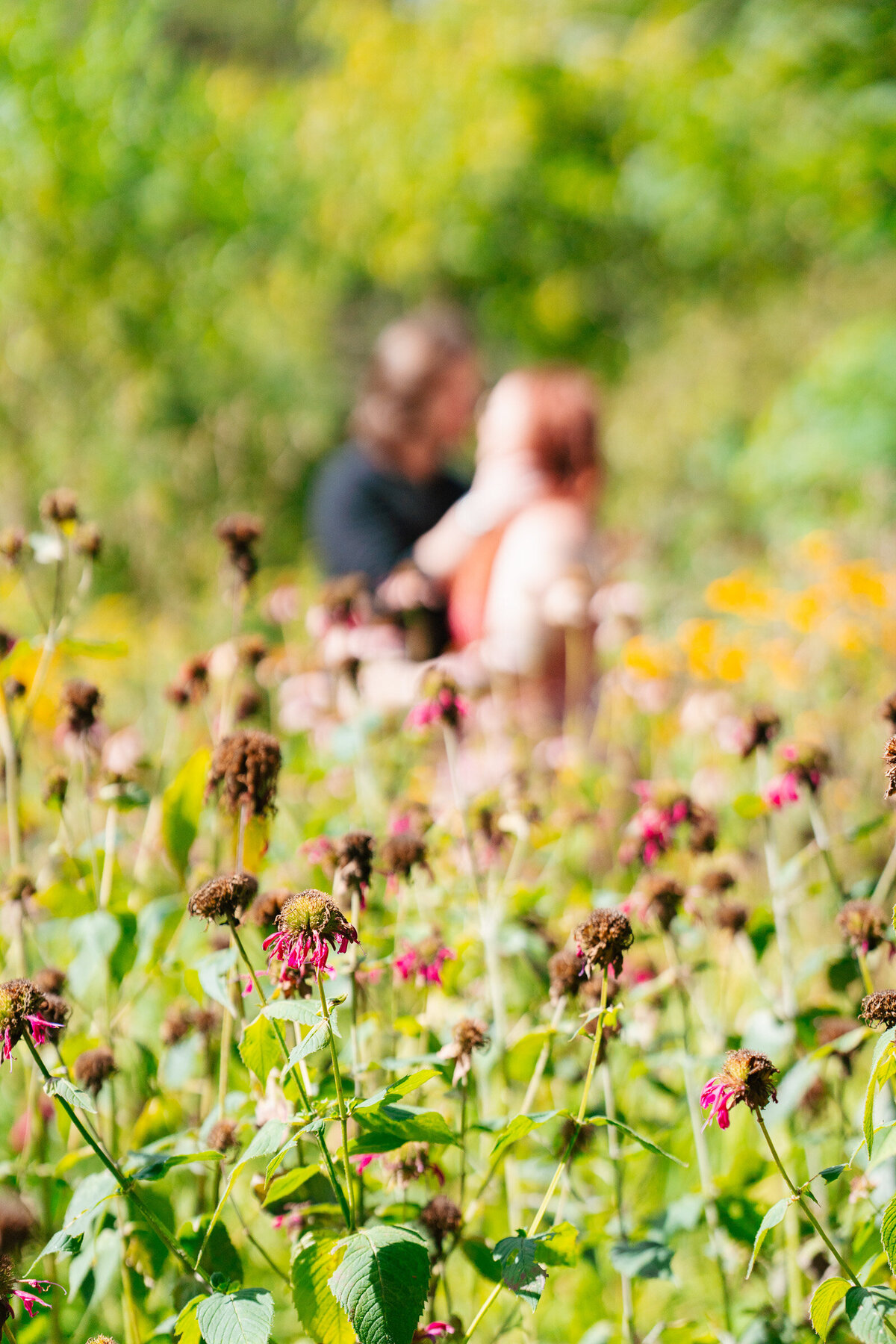 Acton Arboretum engagement photos surrounded by fall foliage and natural warm colors.