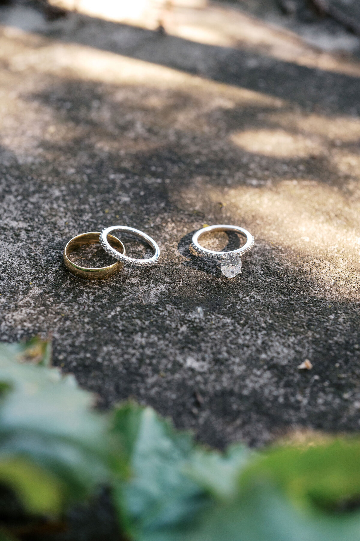 Maria + Grant + Truvision Studios 03