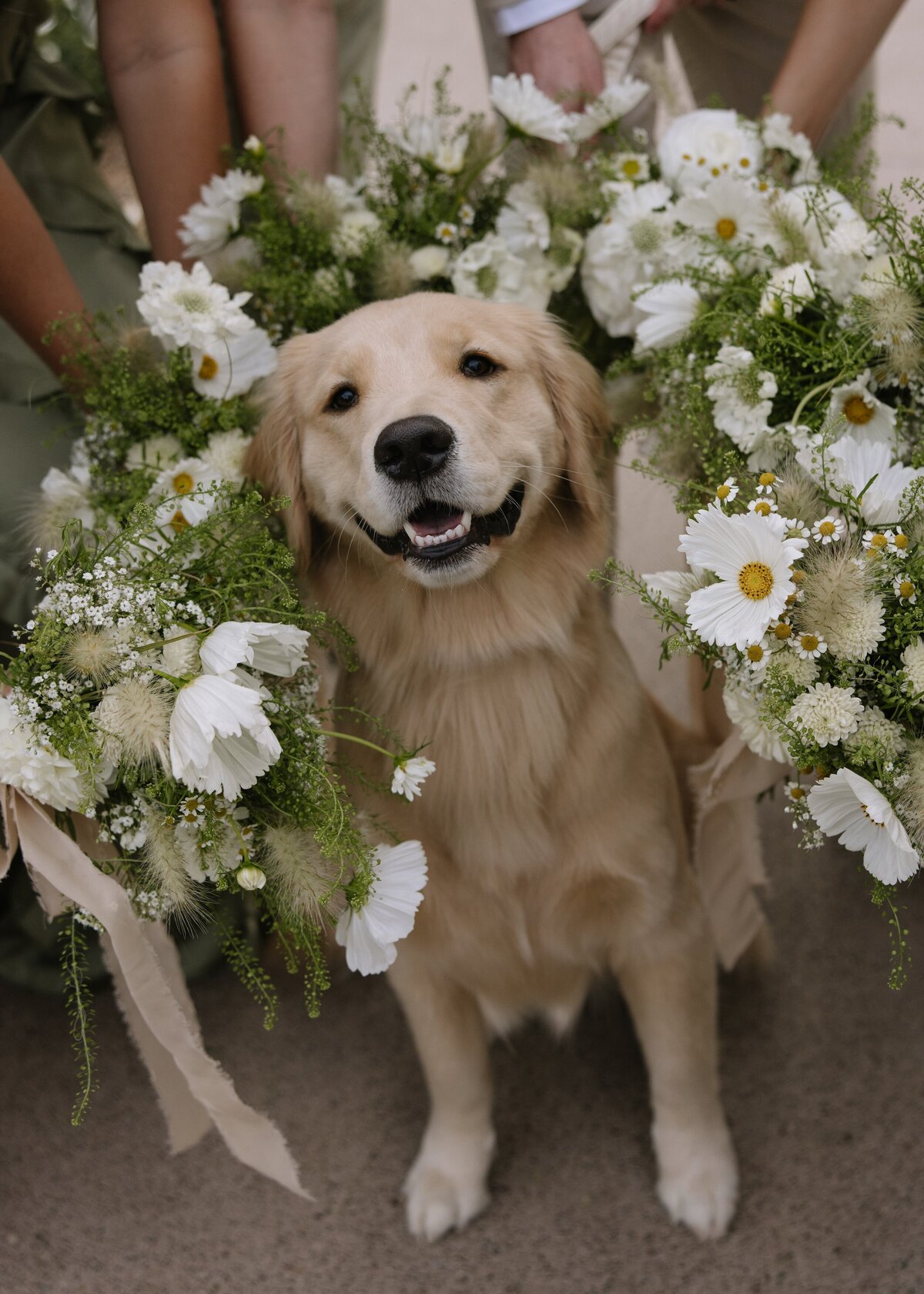 TaylorToYouEvents-SanDiego-Weddings-37