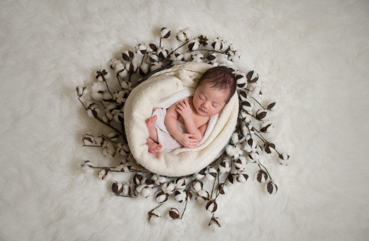 Austin-newborn-Photographer-8419