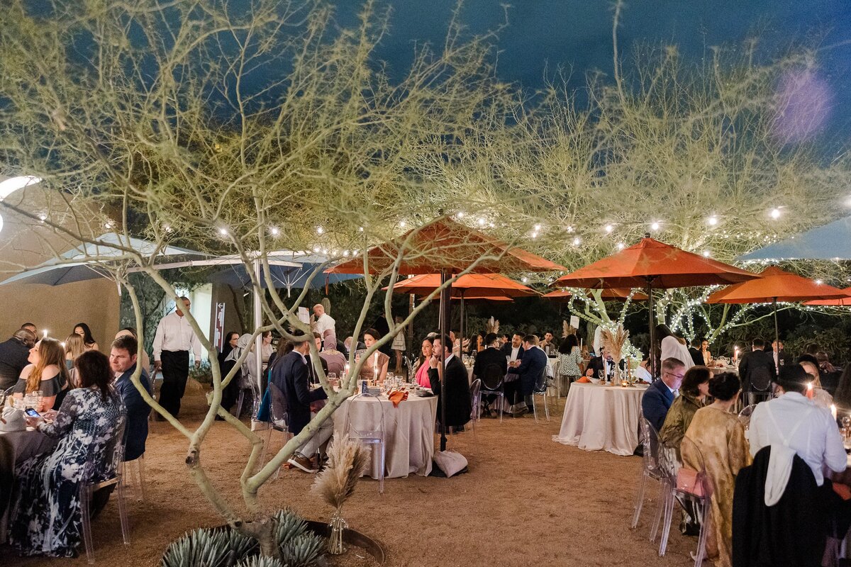Affordable-Wedding-Photographer-Desert-Botanical-Gardens-1422