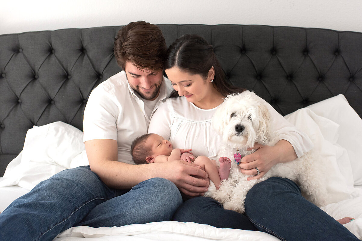 New parents sitting on their bed cuddling with their newborn baby and their small white dog.