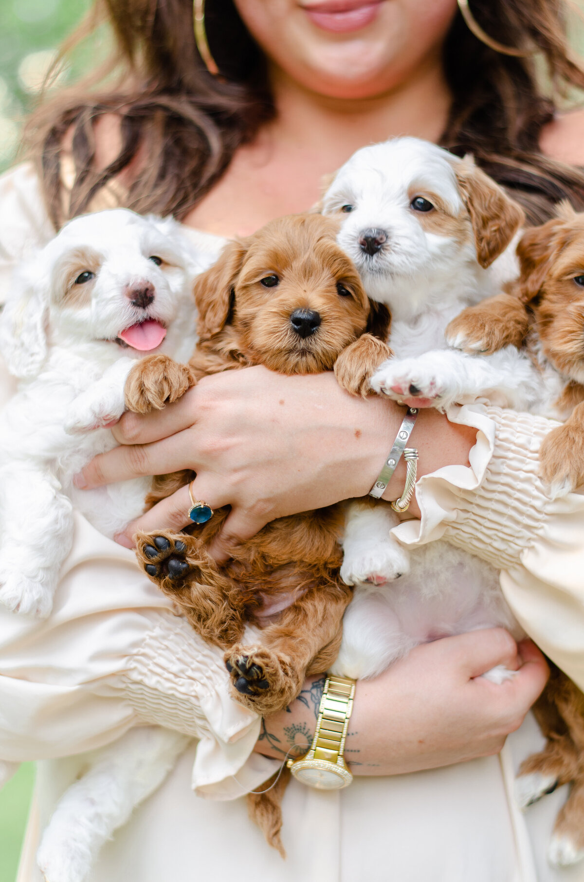 a woman holds four puppies close