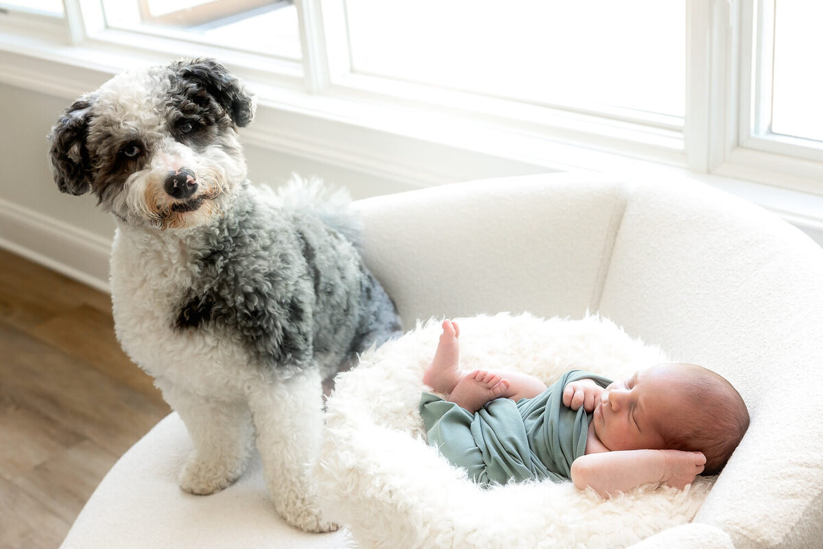 Newborn_ND_053