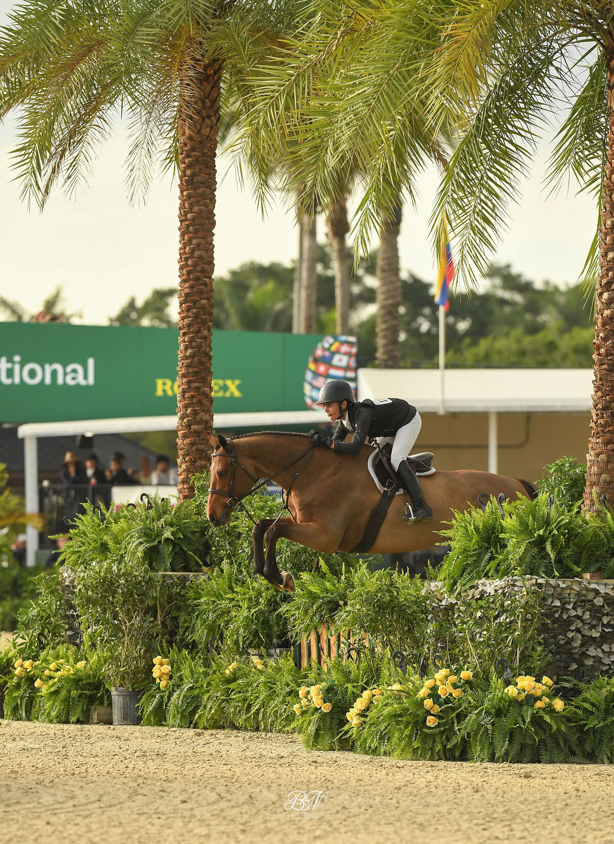 JET06-WEF23-2633