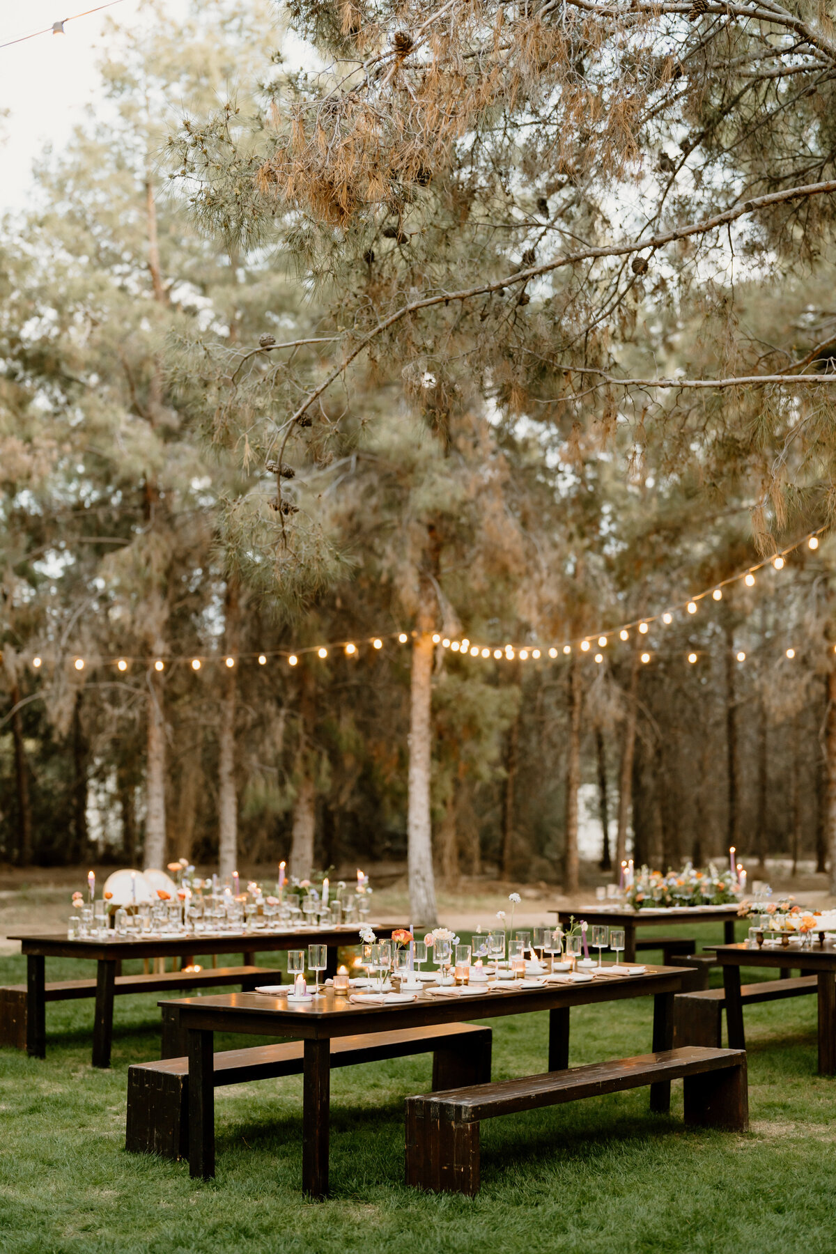 Reception tables decorated at Schnepf Farms