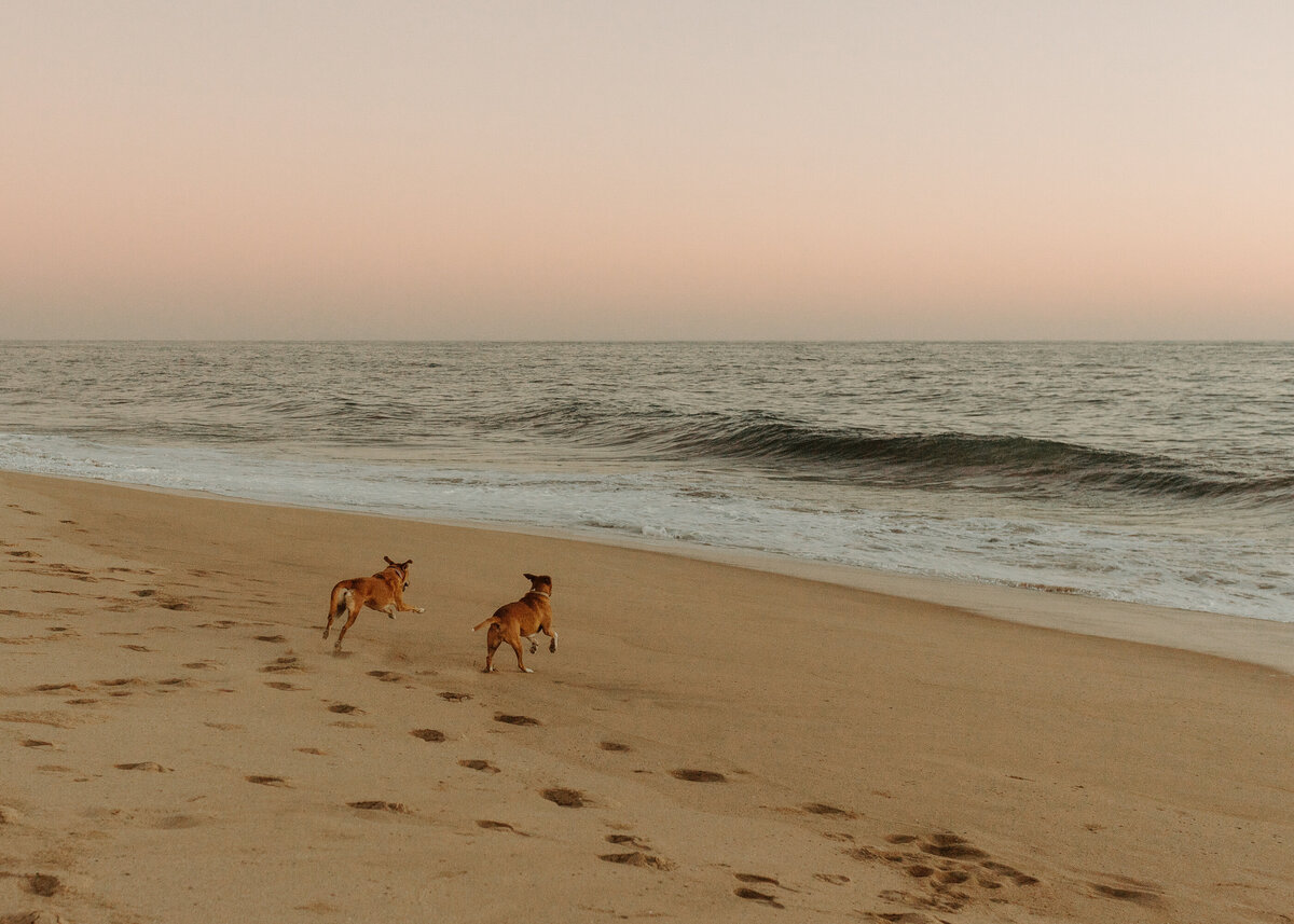 Todos Santos Destination Wedding-59