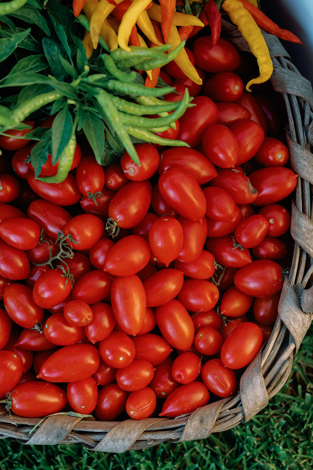 Ian & Frankie Italy Wedding - Saturday-76