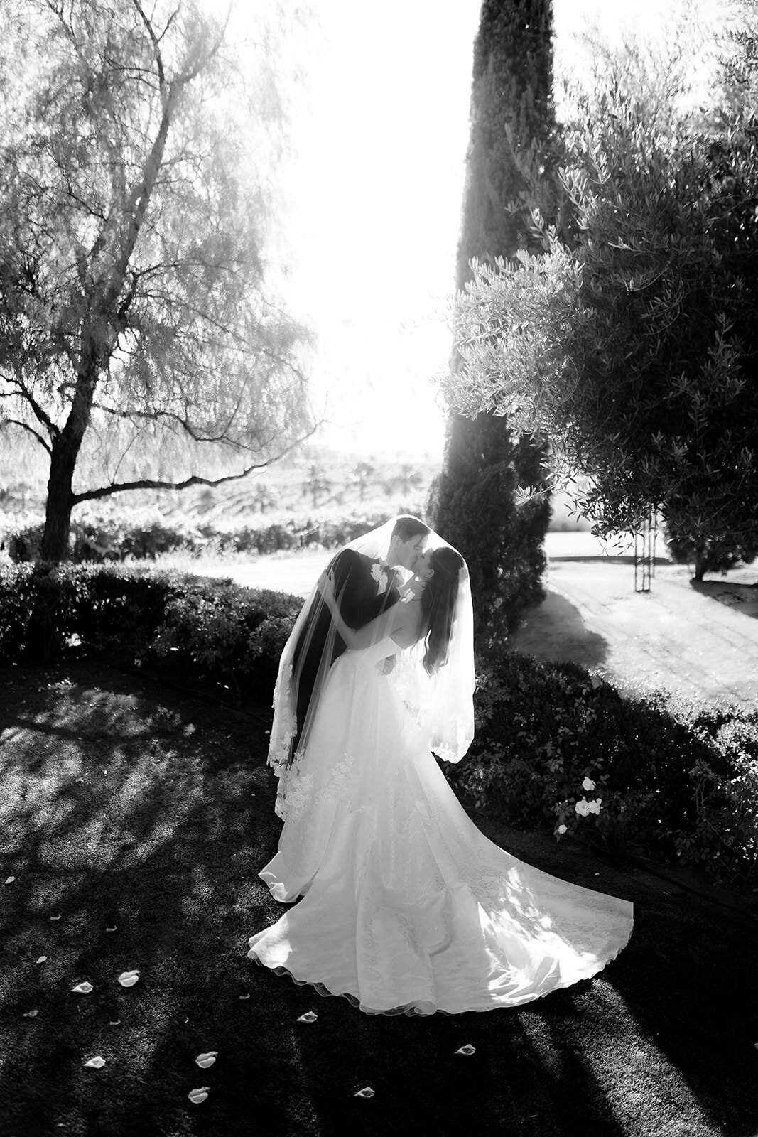 falkner winery wedding 151