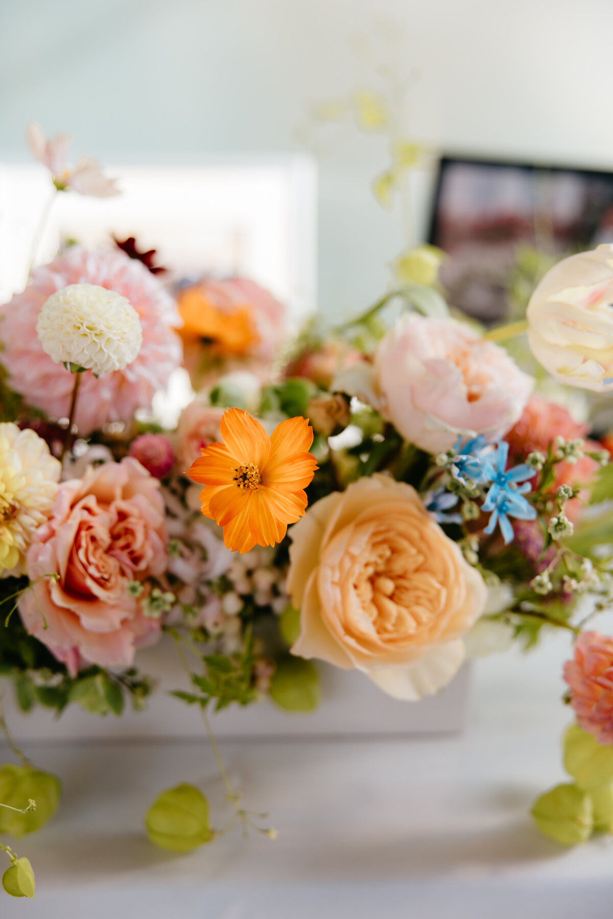 Christina-Willie-Wedding-474