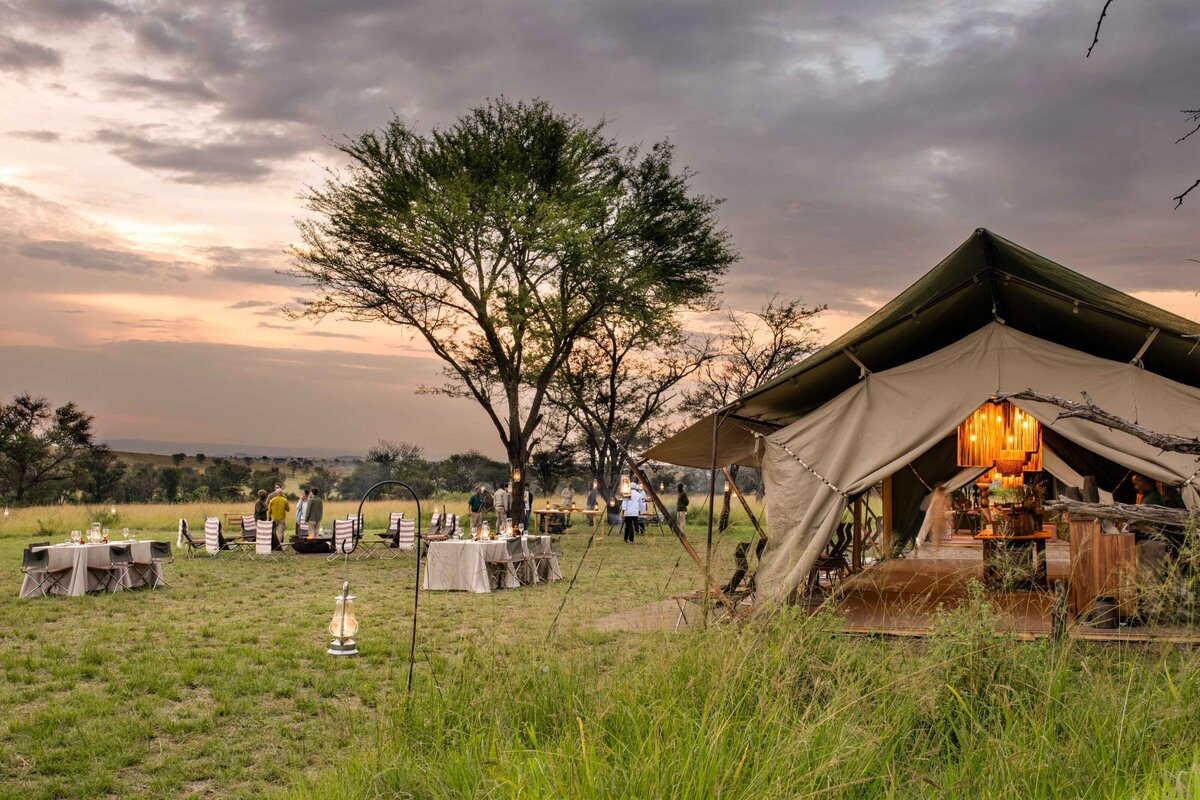 TAASA Migration Camp - Boma Dinner (1)