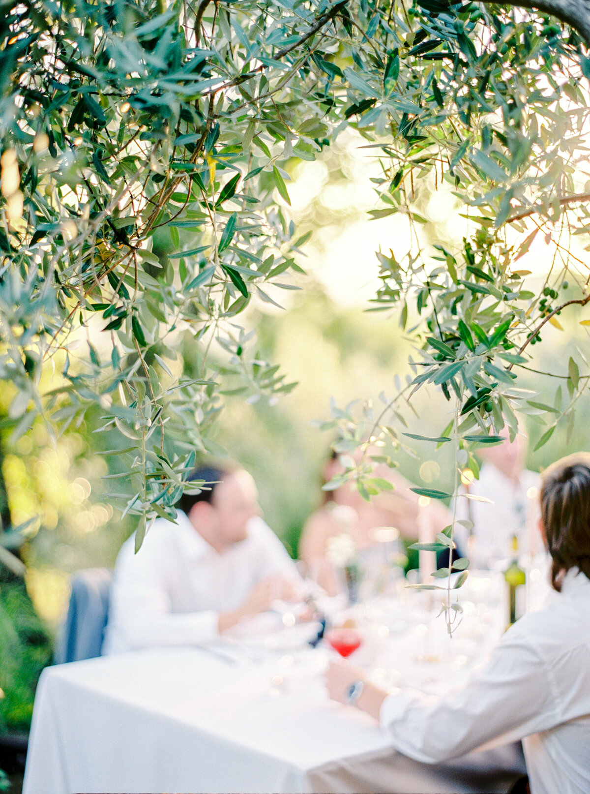 Film photograph of olive branches with out of focus wedding reception table with guests in the background photographed by Italy wedding photographer at Villa Montanare Tuscany wedding