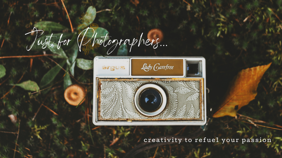 Valerie Russell Photography Black Friday Sale